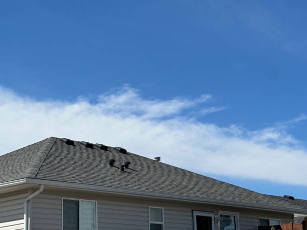 Best Green or Eco-Friendly Roofing Solutions  in The Pinery, CO